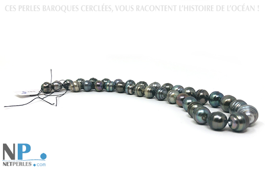 Collier de perles de Tahiti, noires, de formes baroques, surface cerclées, beaux diamètres de 10-12 mm